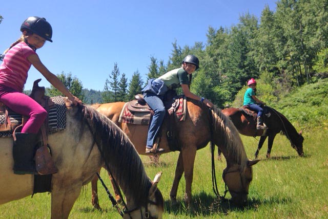 Owl Mountain Ranch - Horseback Riding - Tourism Rossland